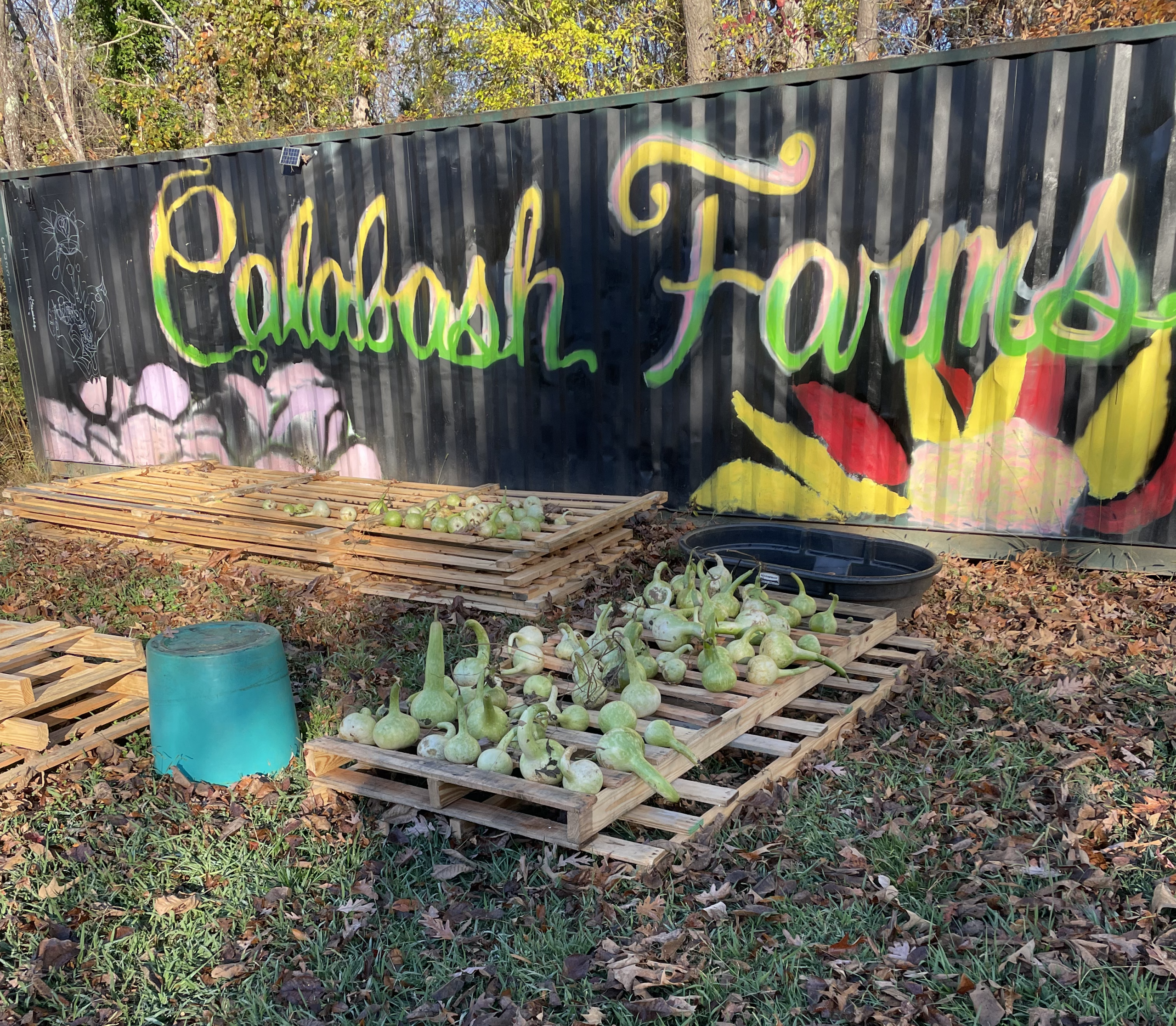 Calabash Farms space