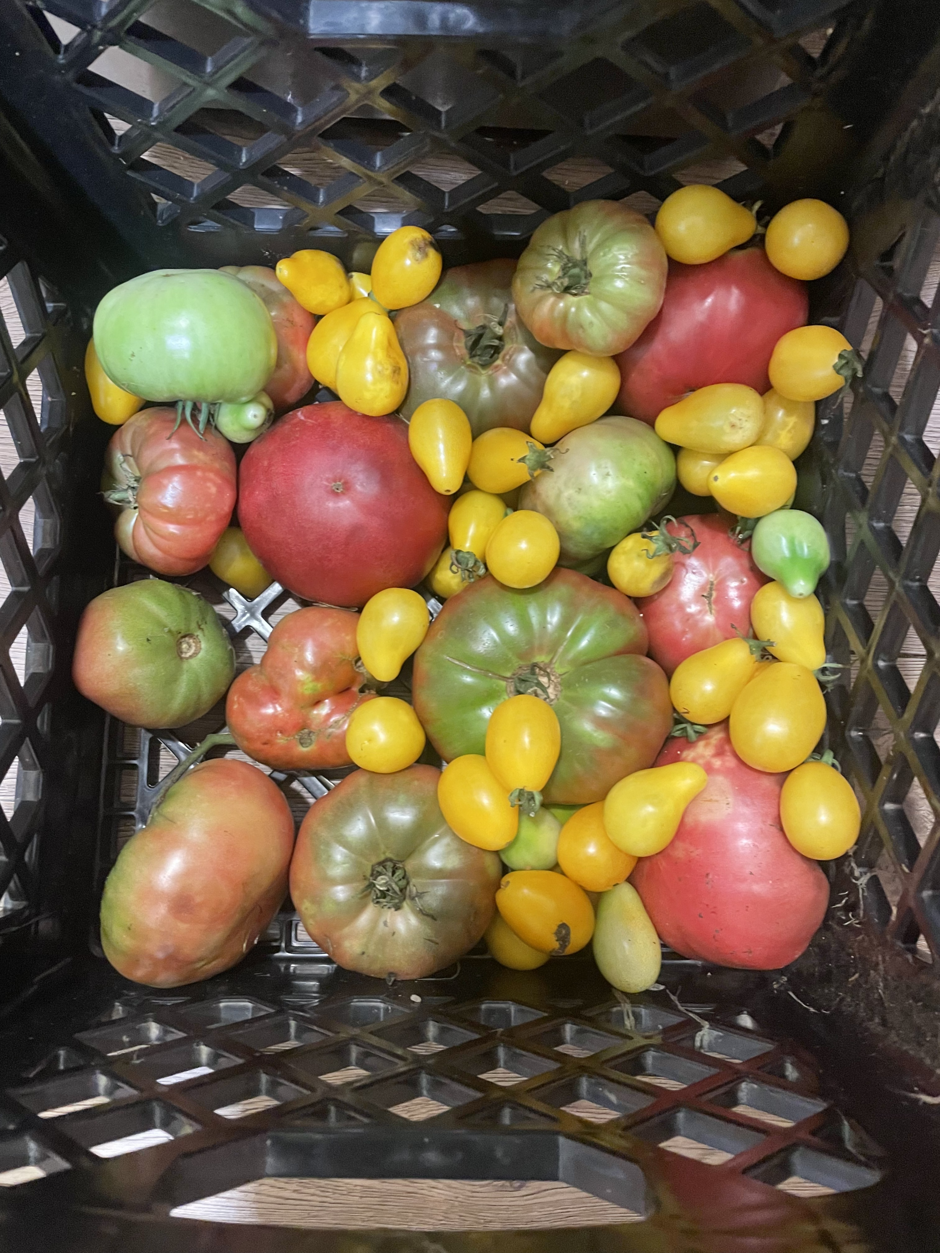 Calabash Farms moment 1